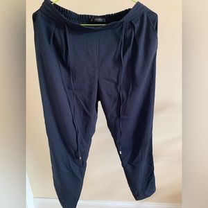 Zara basic dark blue pants
